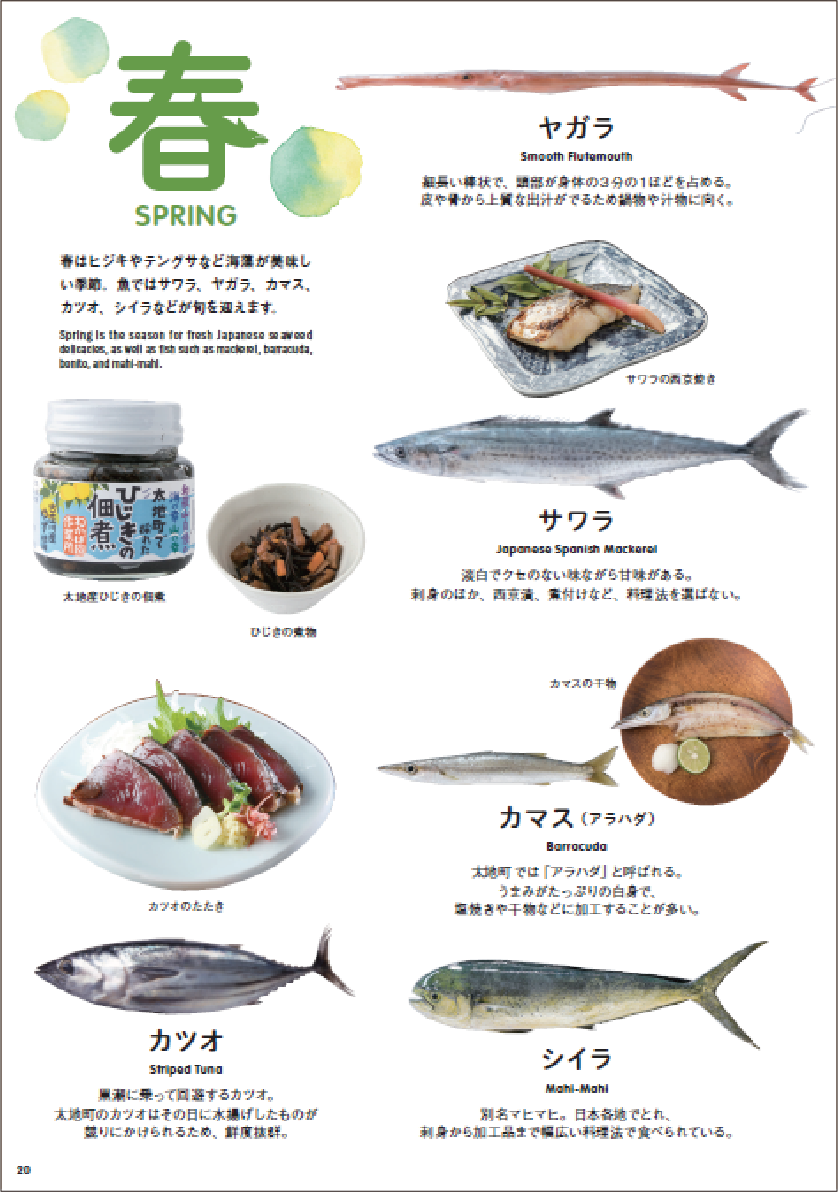 太地町でとれる主な魚 メッセージ